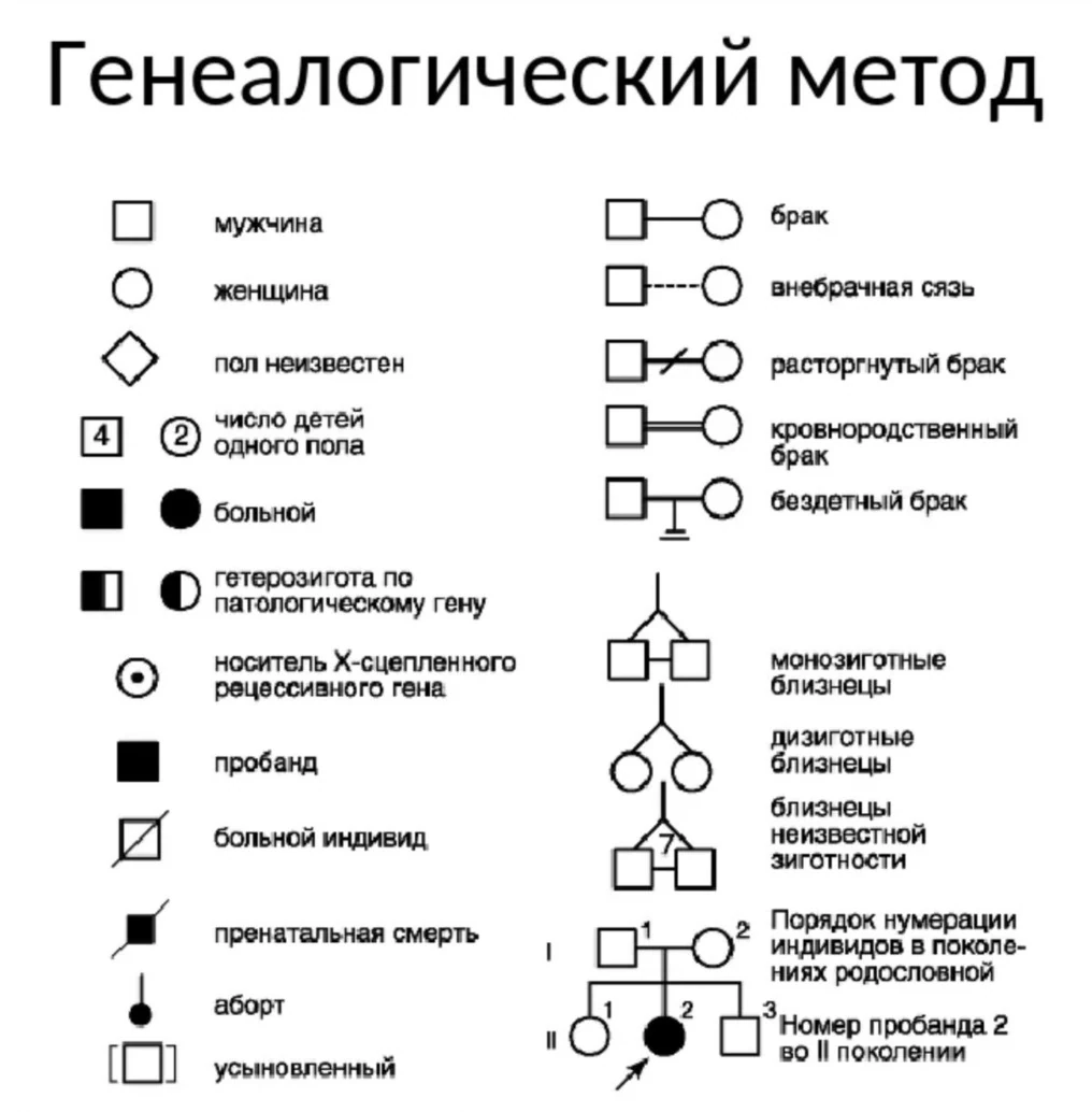 Изучите графическое изображение родословной семьи по одному изучаемому признаку ответы на вопросы